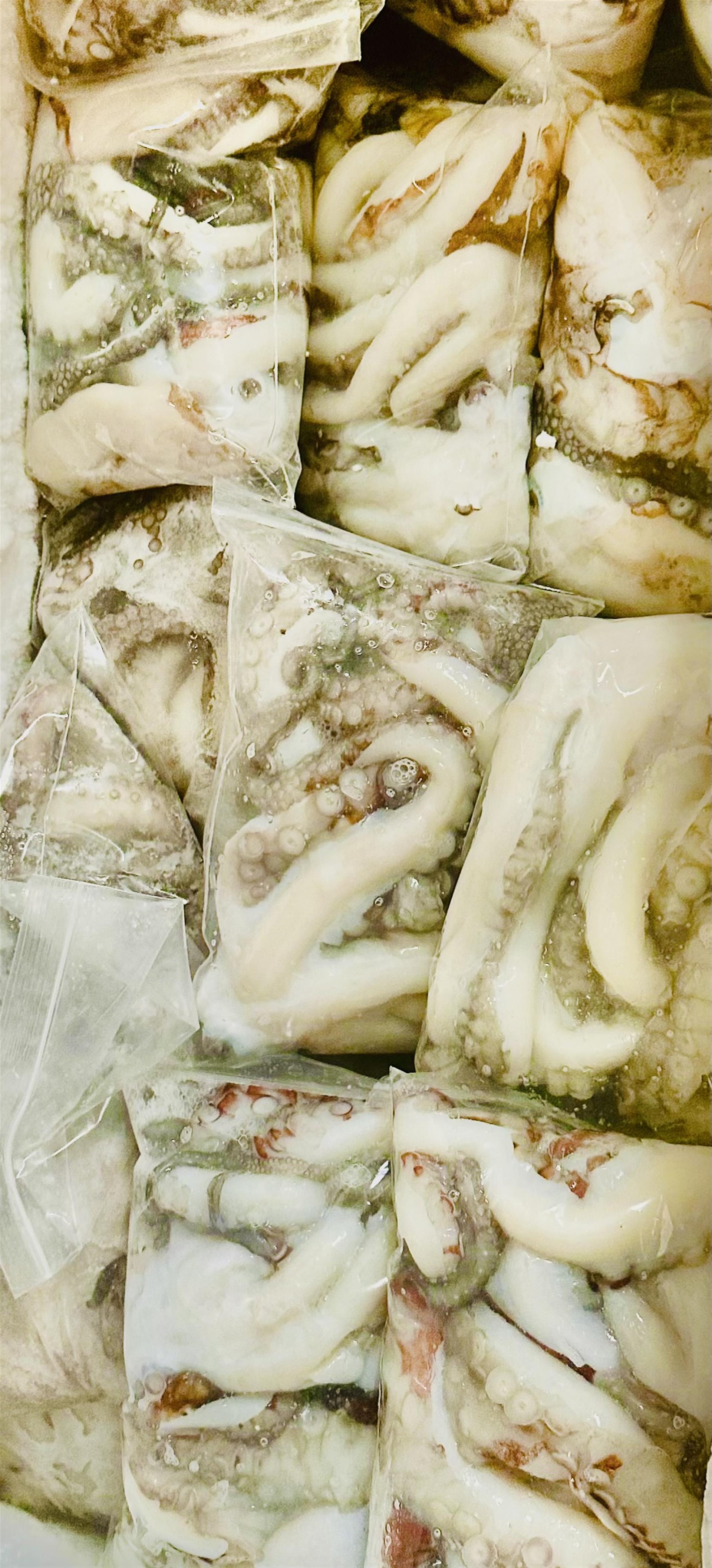 Octopus 500g